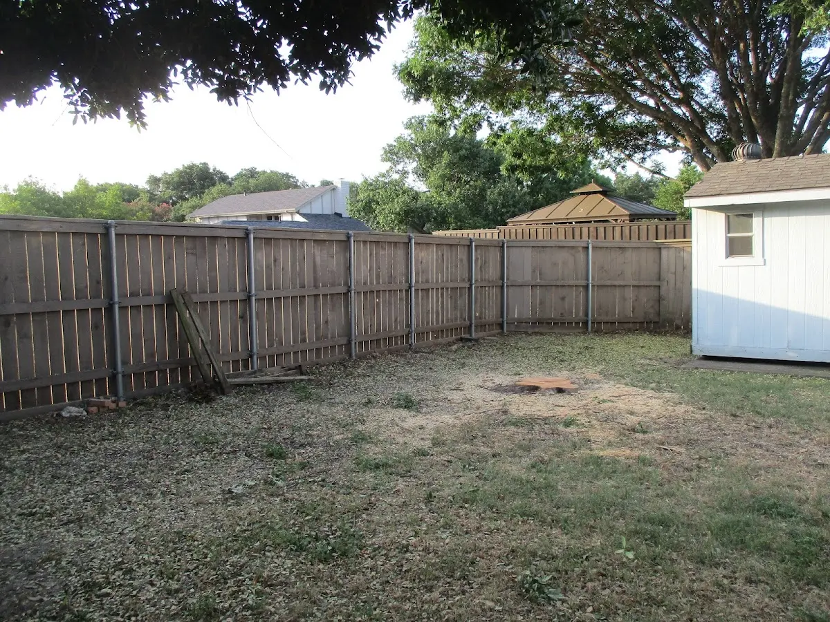 Cleared yard after professional tree removal in Bessemer