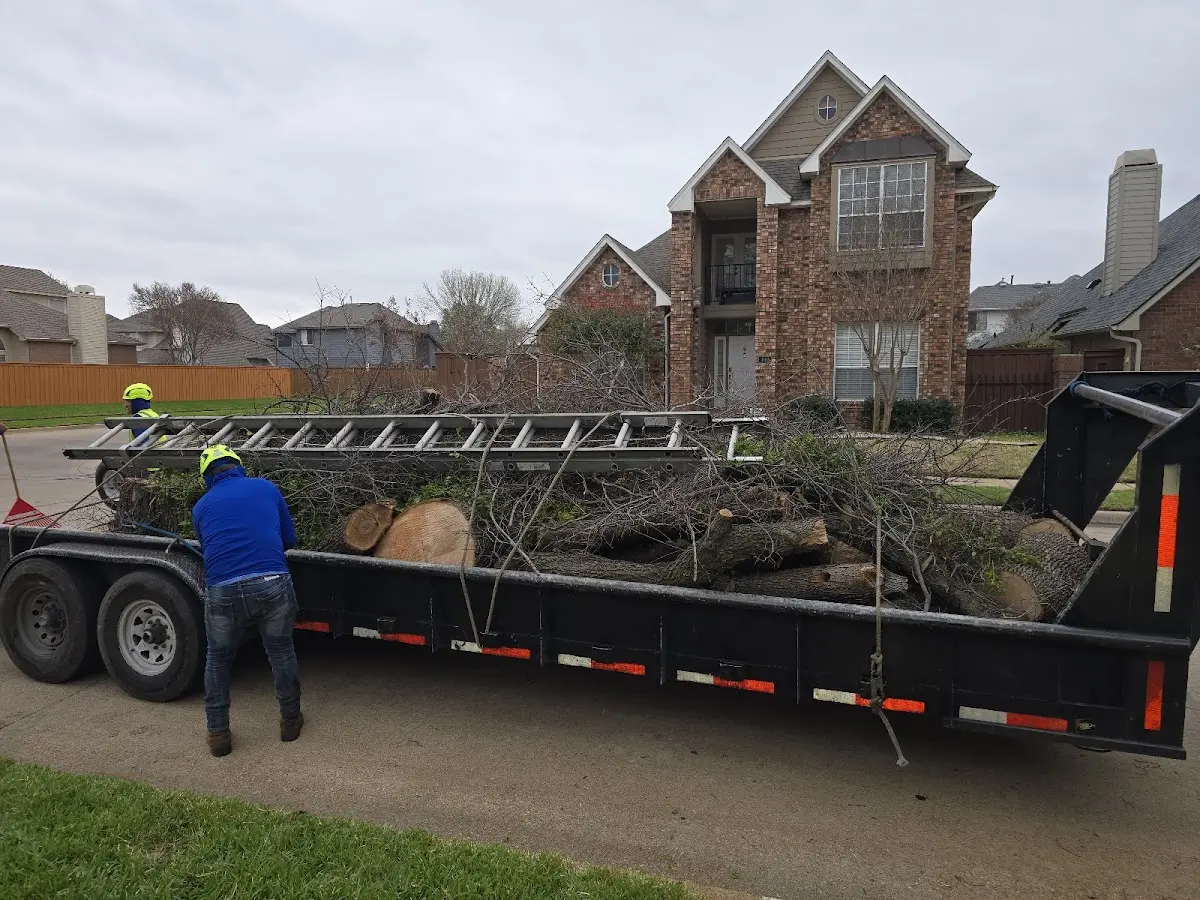 Expert Tree Pest Control with proper safety equipment in Bessemer